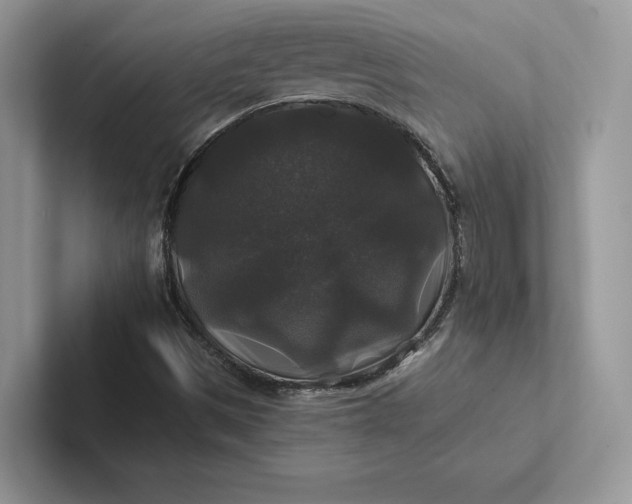 X0000101451497200807211302