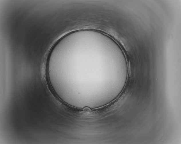 X0000101451500200807211302