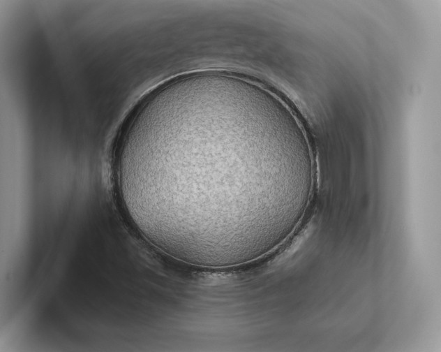 X0000101451501200807211302