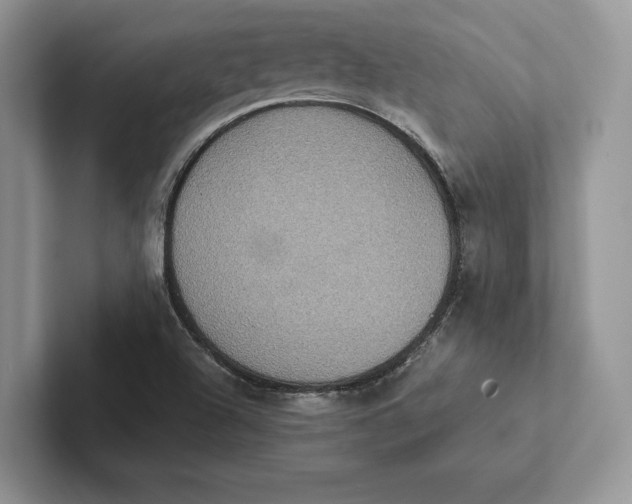 X0000101451504200807211302