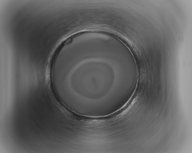 X0000101451506200807211302