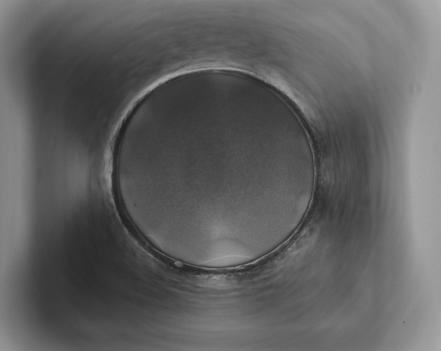 X0000101451508200807211302