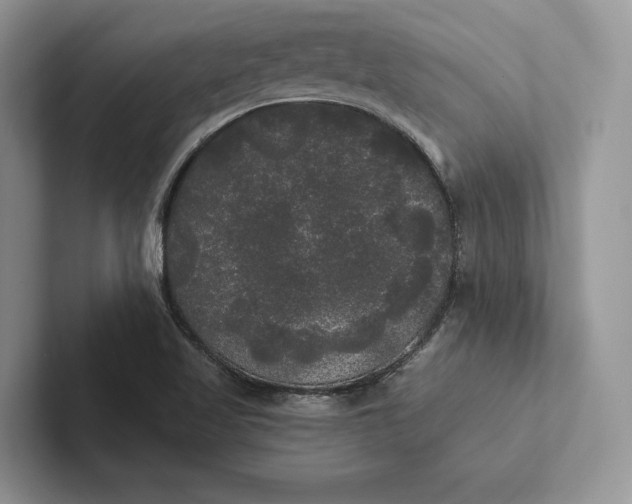 X0000101451509200807211302