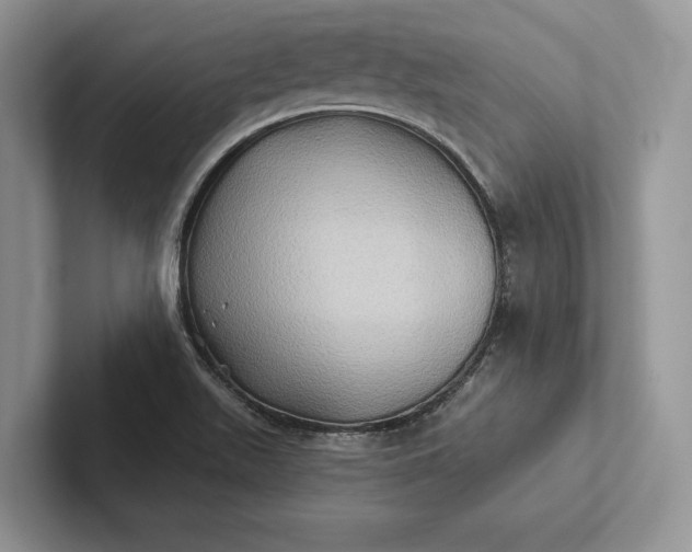 X0000101451511200807211302