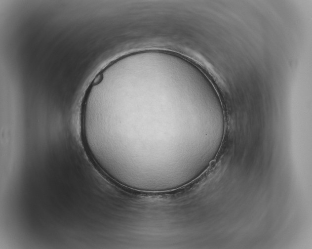 X0000101451512200807211302