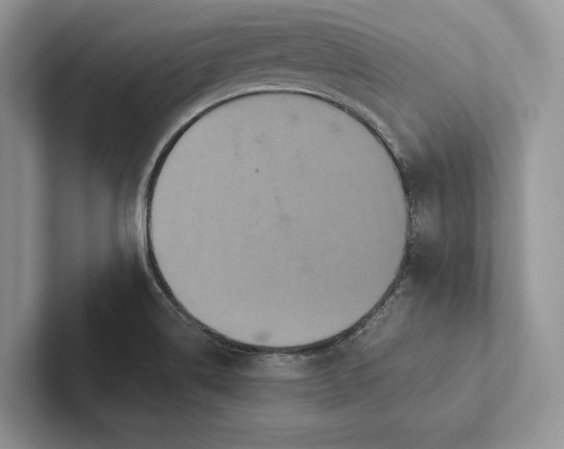 X0000101451514200807211302