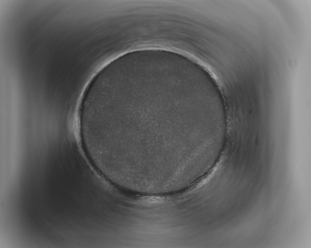 X0000101451517200807211302