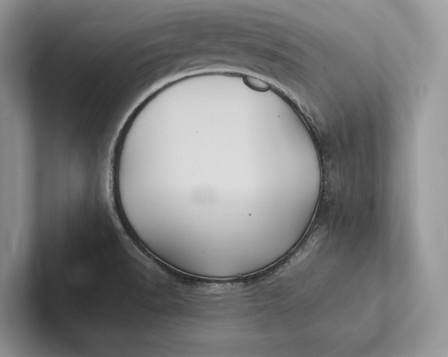 X0000101451518200807211302