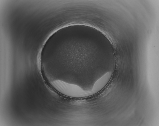 X0000101451519200807211302