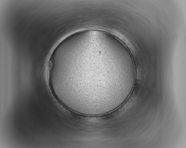 X0000101451520200807211302