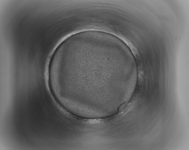 X0000101451523200807211302