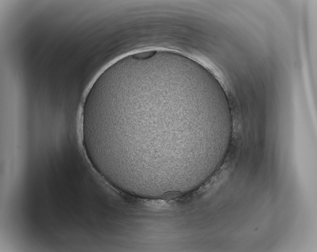 X0000101451524200807211302