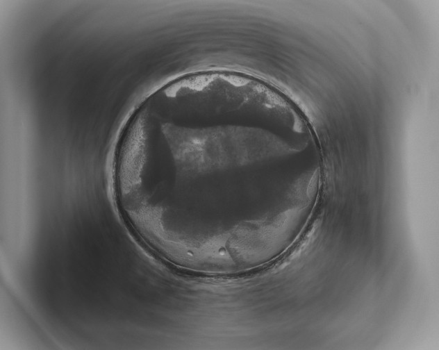 X0000101451525200807211302