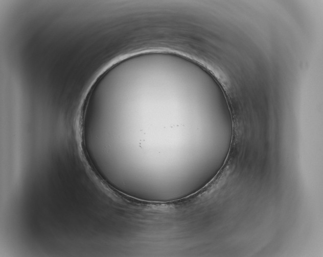 X0000101451526200807211302