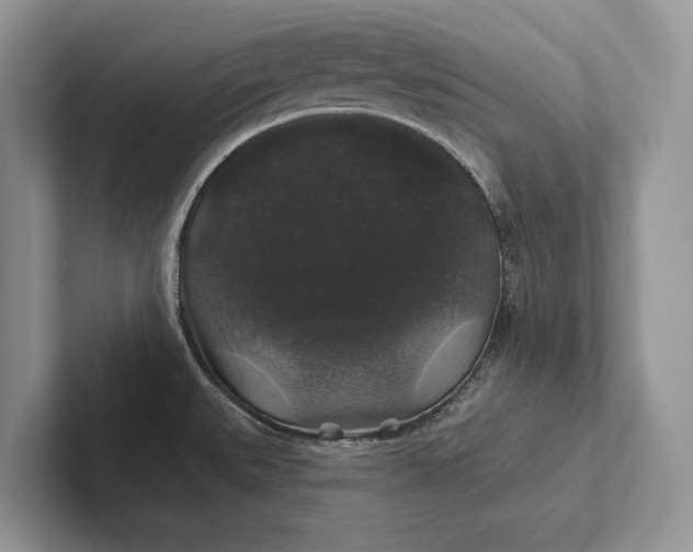 X0000101451527200807211302