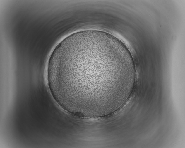 X0000101451528200807211302