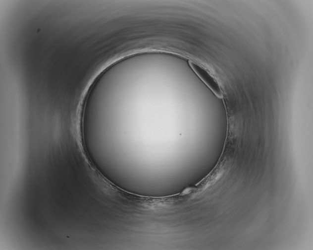 X0000101451530200807211302