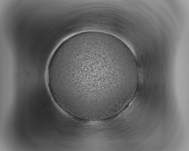 X0000101451531200807211302