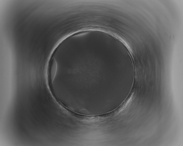 X0000101451533200807211302