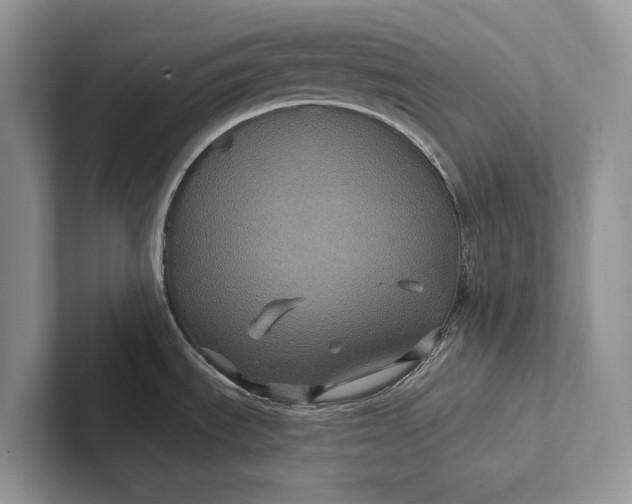 X0000101451535200807211302