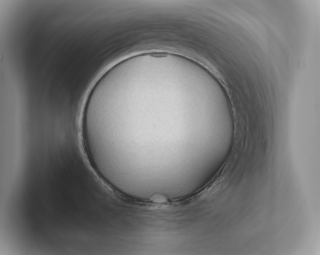 X0000101451536200807211302