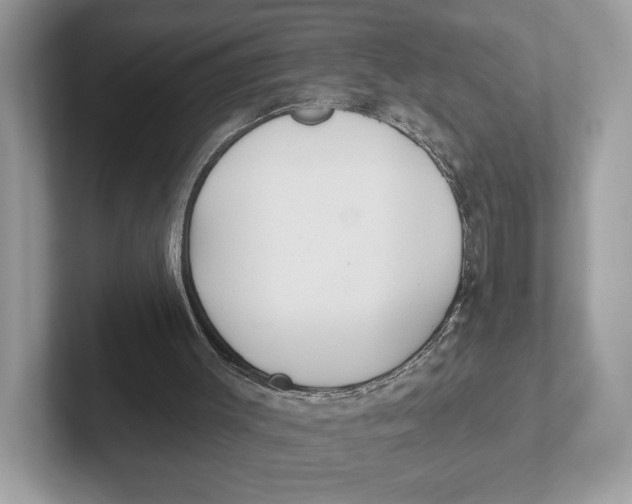 X0000101450003200807280948