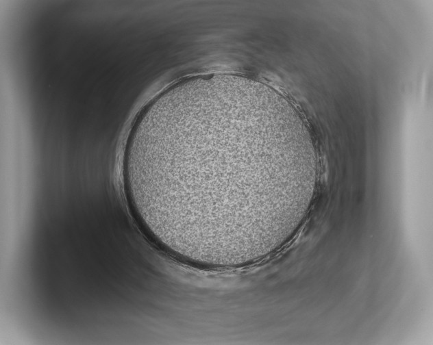 X0000101450004200807280948