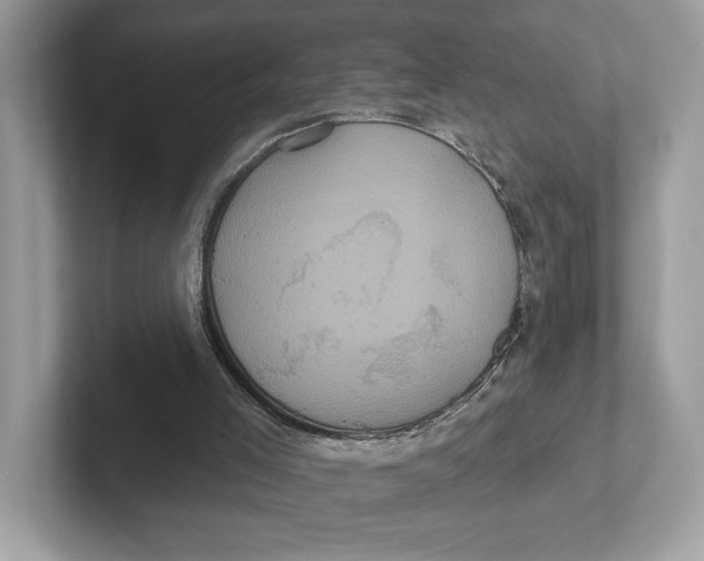 X0000101450005200807280948