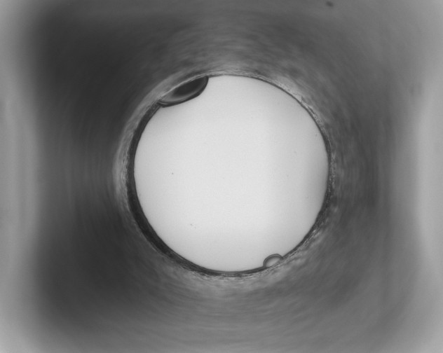 X0000101450007200807280948