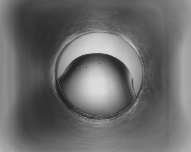 X0000101450008200807280948