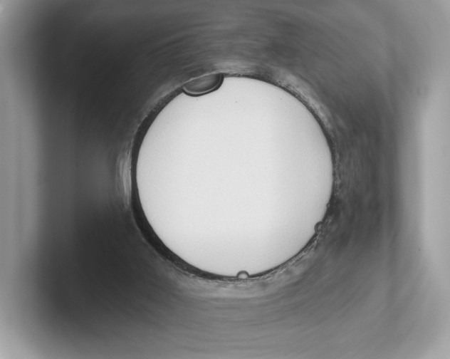 X0000101450011200807280948