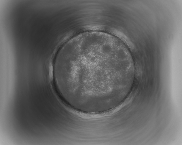 X0000101450014200807280948