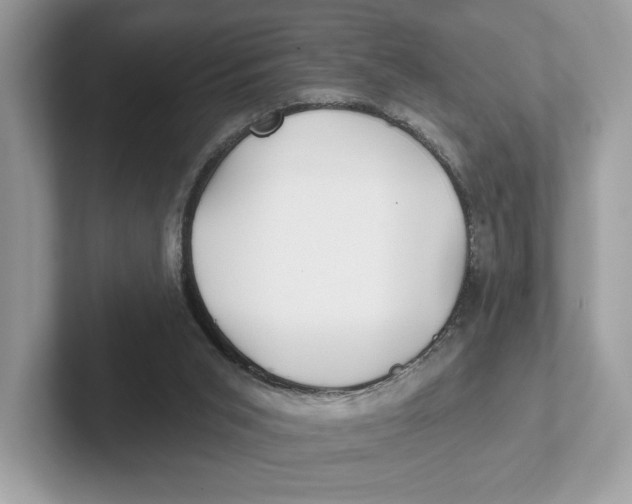 X0000101450015200807280948