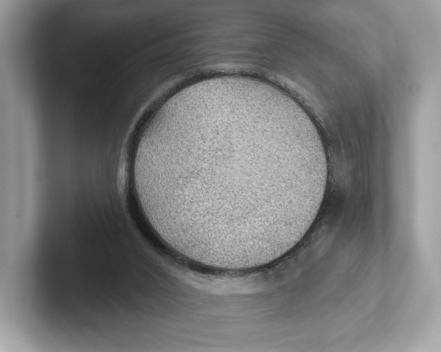 X0000101450016200807280948