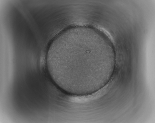 X0000101450017200807280948