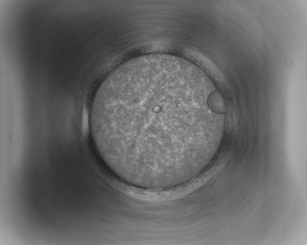 X0000101450022200807280948