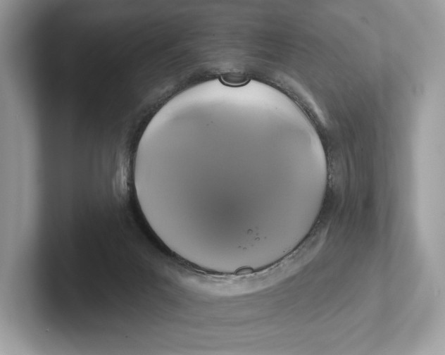 X0000101450023200807280948