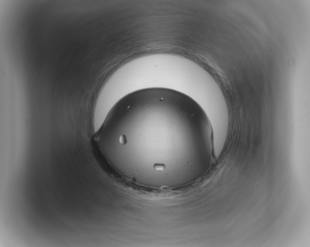 X0000101450024200807280948