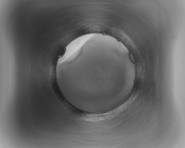 X0000101450029200807280948