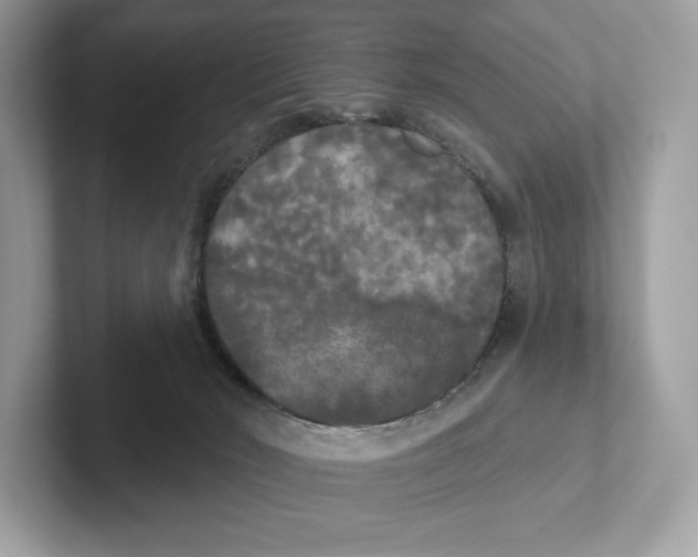 X0000101450030200807280948