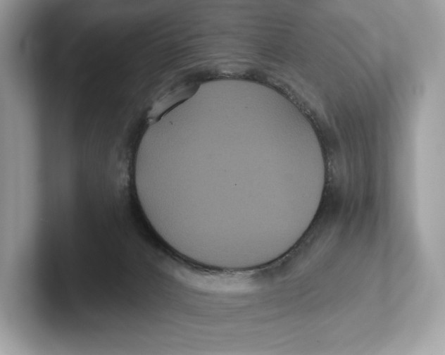 X0000101450032200807280948