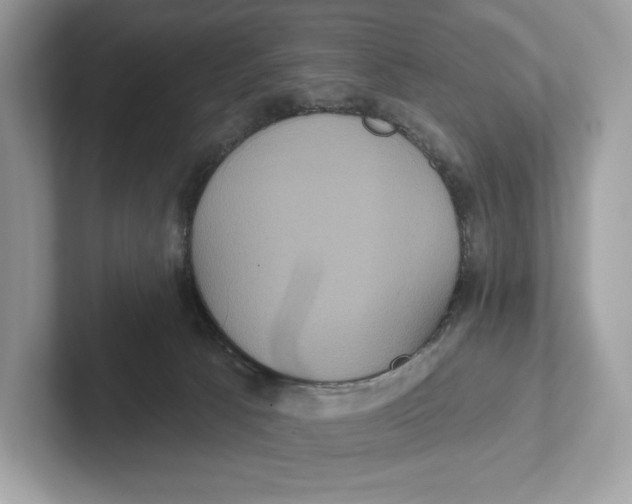 X0000101450033200807280948