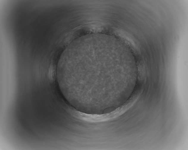 X0000101450034200807280948