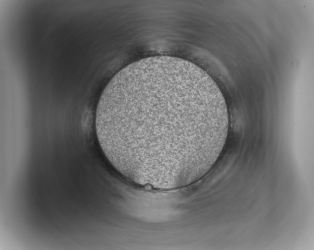 X0000101450036200807280948