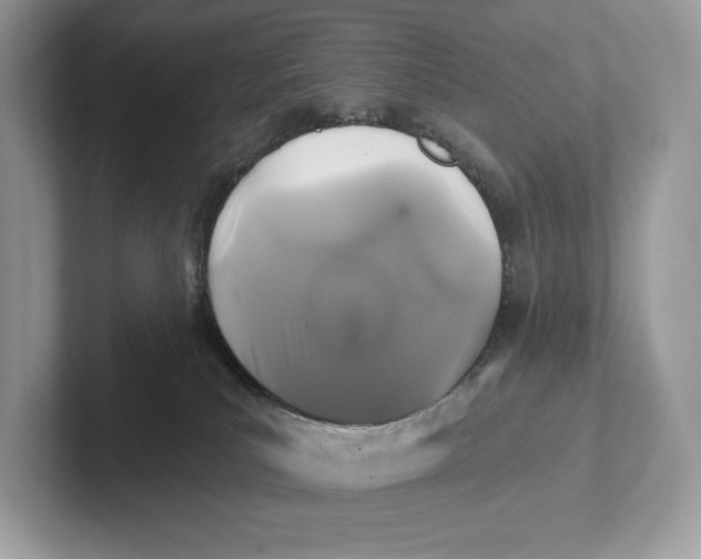 X0000101450039200807280948