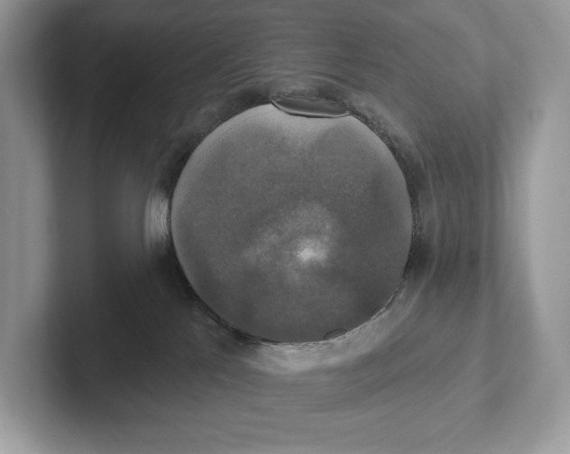 X0000101450041200807280948