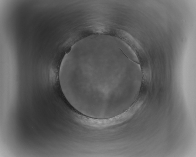 X0000101450043200807280948