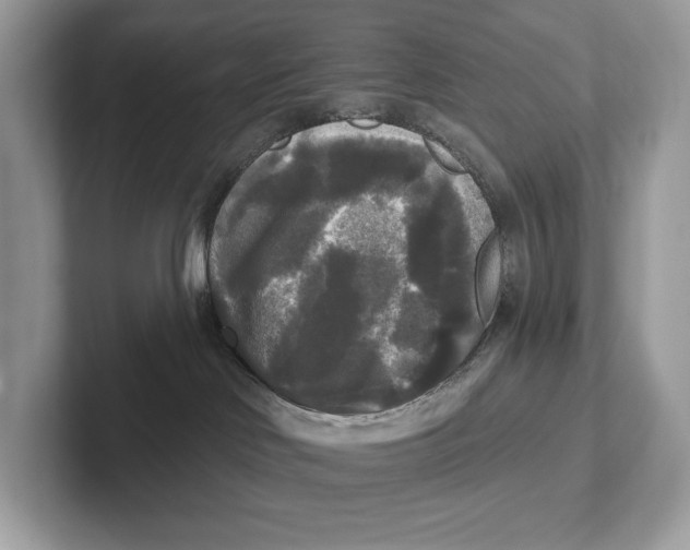 X0000101450046200807280948