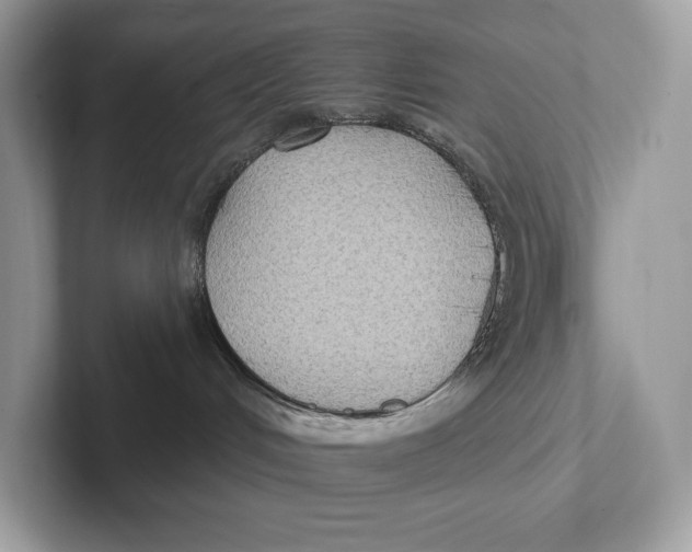 X0000101450048200807280948