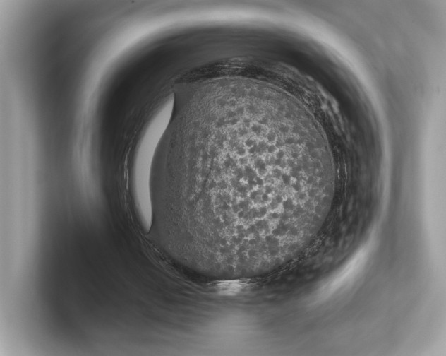 X0000101450050200807280947